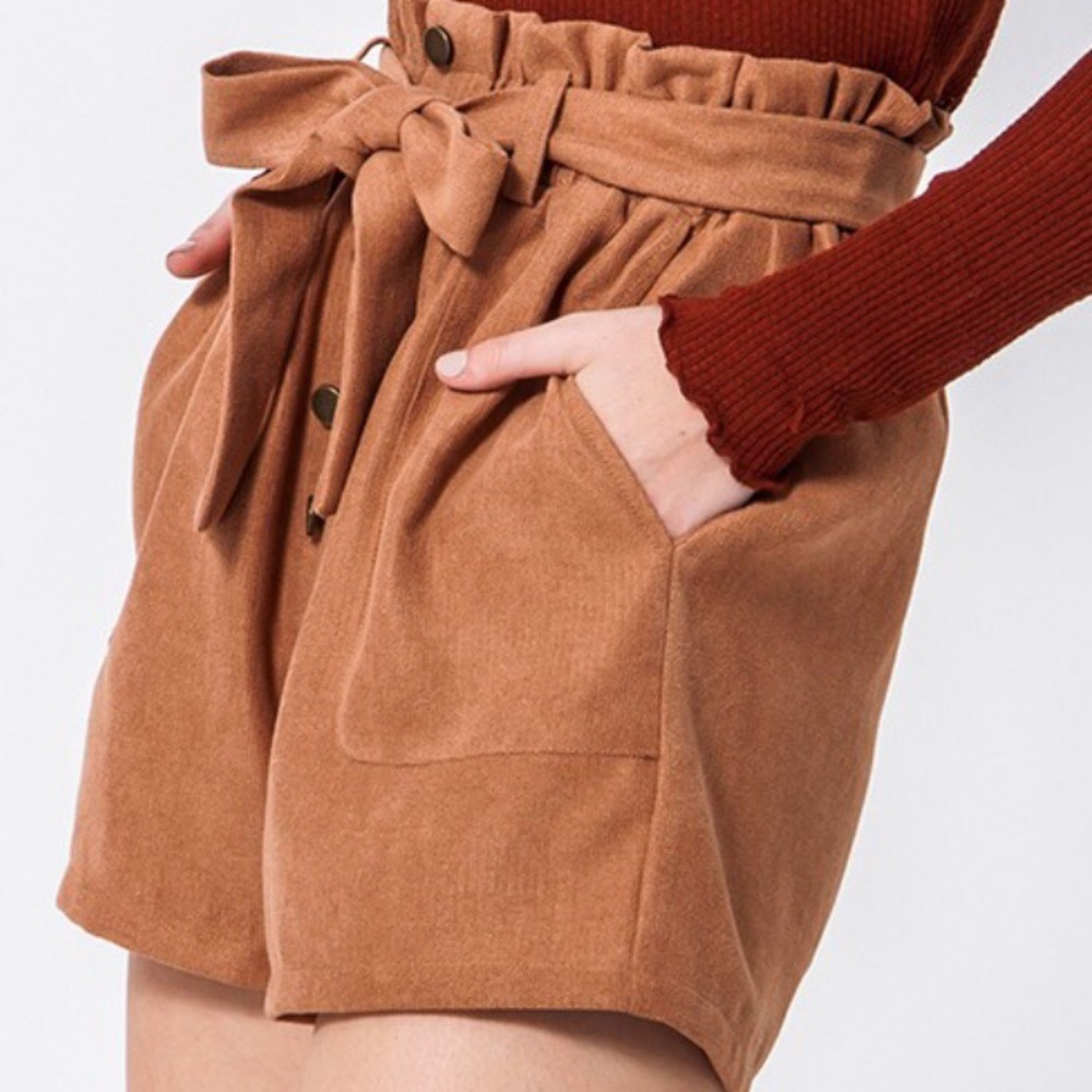 NWT Cinnamon Paper Bag Shorts - Picture 3 of 5